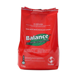 Balance 1 kg