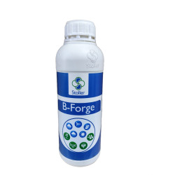 B-Forge 1 lt