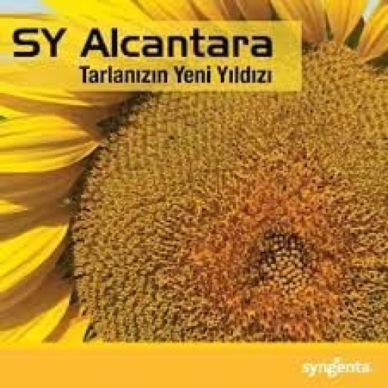 ALCANTARA AYÇİÇEK TOHUMU