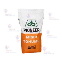 PIONEER 0900 MISIR TOHUMU