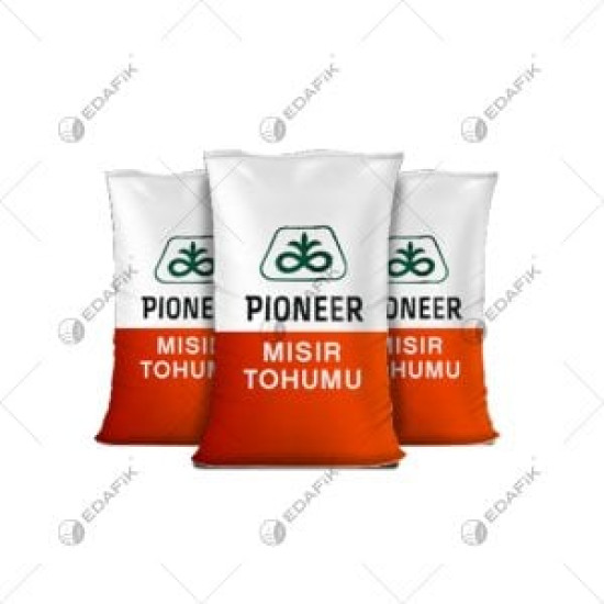 Mısır Tohumu Pioneer 30B74