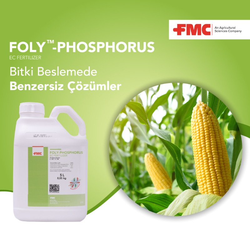 Foly™ - Phosphorus 5 Lt